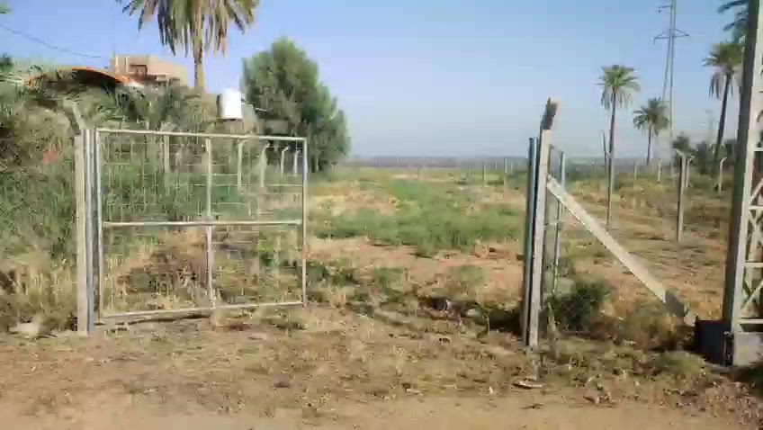 🌴 فرصة استثمارية وسكنية مميزة في المشخاب 🌴
​يعلن مكتب الإبراهيمي للعقار عن توفر قطعة أرض (عرصة) مميزة بموقع استراتيجي ومساحة كبيرة:
​📌 تفاصيل العقار:
​الموقع: المشخاب - الدبينية (مباشرة على الشارع الرئيسي).
​المساحة: 1000 متر مربع (ألف متر).
​الواجهة: 13 متراً.
​الحالة: مسيجة بالكامل.
​المميزات: موقع حيوي وممتاز جداً على الشارع العام، تصلح لكافة المشاريع أو الاستثمار أو البناء.
​📞 للتواصل والاستفسار، يرجى الاتصال بنا:
​***********
​***********
​✨ مكتب الإبراهيمي للعقار - خياركم الموثوق دائماً ✨
