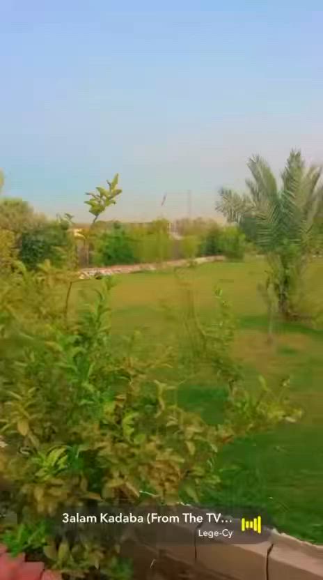 مزارع وشاليهات ضي القمر في بغــداد- الزعفرانية على ضفاف نهر دجله
مثبته بتطبيق #اجرلي
للأيجار اليومي للشبــاب و العوائــل 
أهلأ وسهلا بالضيوف الكرام

💥 غرفتين  نوم وصالة ومطبخ وصحيات 
💥 مسبح 
💥 حديقة
💥 كراج للسيارات
💥 كهرباء ع مدار 24 ساعة 

🔴يرجى الالتزام بالشروط :

غير مسؤولين عن اي حادث عرضي او غرق  
يرجى المحافظة على نظافة المكان والممتلكات
في حال عدم الالتزام بالشروط   وسيلغى الحجز ولا يسترجع المبلغ المدفوع

العنوان :- بغداد_الزعفرانية_
اللاستفسار او الاتصال على الرقم التالي..
هــاتف / ***********
متوفر حجوزات صباحي مسائي طول أيــام الاسبوع

