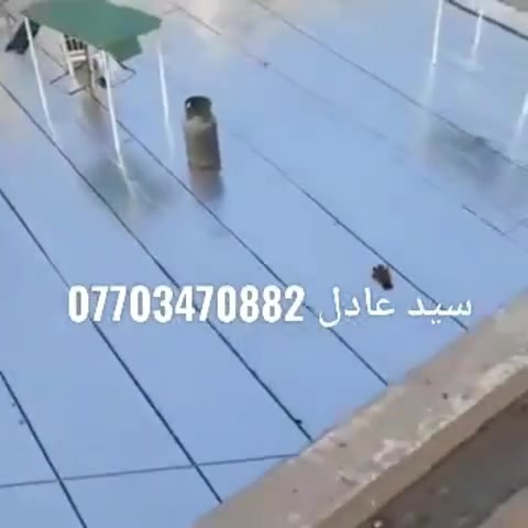 ............... جملة وامفرد
(👍👍 
🌷 ⚘⚘ يرجئ الاتصال ونحن في خدمتك🌷🌷شركه الموسوي لايزوكام📞***********📞***********📞  📞سارعو بلحجز  ✔ ايزوكام✔ عاكس لحرارة ومانع رطوبة 🌧بي ضمان عشر سنوات الوكيل الحصري في البصرة  🌧 لايزوكام بديل لشتايكر ولماستك وصبابة ولكاشي بادارة  سيد عادل ولخ سيد امجد الموسوي✔ليس الوحيدون ولكن  نحن الافضل  ⛆⛆ملاحضة غير متواجدين على الفيس  يرجئ الاتصال على الارقام  ***********
