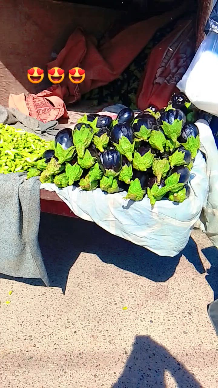 متوجد في بيجي زرع جديد وريان واتس ***********
