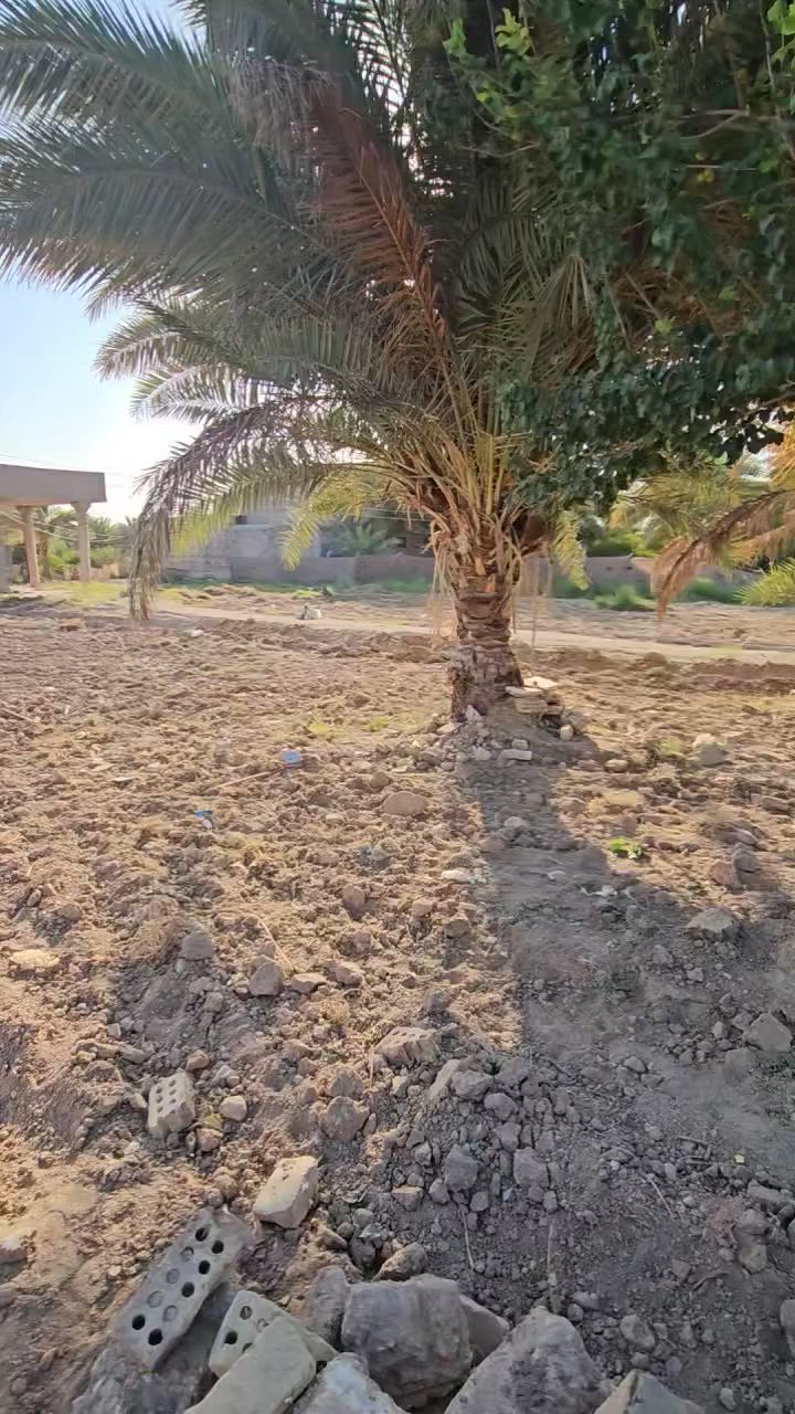ألف متر للبيع معه كافت الخدمات موجوده موقع شارع بغداد عامود 90  كلش حلو وجه شارع 6متر  تحويل بسم المشتري كافت السهام السعر المطلوب 220 مليون معه الجال  الأستفسار ***********
