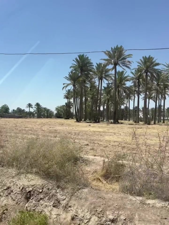 بستان للبيع
٥دونم تحتوي على ٧٠ نخله كامل خدمات 
ابي غريب السميلات 
السعر خاص 
للاستفسار :-***********واتساب فقط
