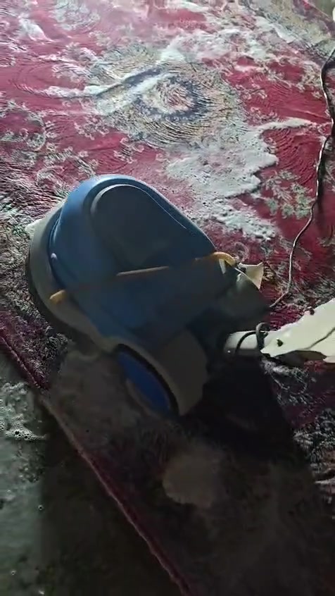 مكوئ سبع ابكار يرحب بكم غسل السجاد وكوي الملابس وازالةالبقع الصعبه التوصيل مجاناً داخل سبع ابكار 

***********
