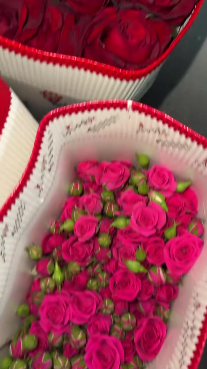 توفرت وجبة ورد طبيعي داخل محل الورد في سوق ابو عظام ويوجد توصيل لكل مناطق التاجي وبغداد والمحافظات🩷إنستغرام( m9_ub) 
واتساب ‭***********‬
عنوان المحل سوق ابو عظام مجاور ملعب علي مهاوي 
محل كمر روز للورد والهدايا
اوقات العمل من 3 عصرًا لغاية 11 مساءاً
