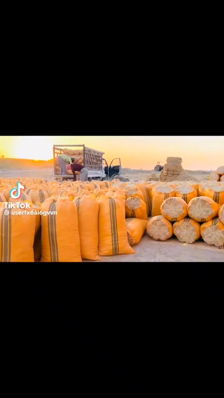 يوجد توصيل داخل ناصريه رفاعي غراف 
***********
