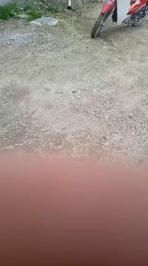 ع بركة الله 
البيت للبيع 180 متر سند زراعي
 حي الامير قريب ع الفرات  غرفتين ومطبخ  والصاله مفتوحه ع الاستقبال
 البيت كامل من كلشي وجاهز للسكن وفارغ  وجديد وكله سيراميك ارضي وجداري 
والسطح شتايكر 

*********** للاستفسار متوفر واتساب
