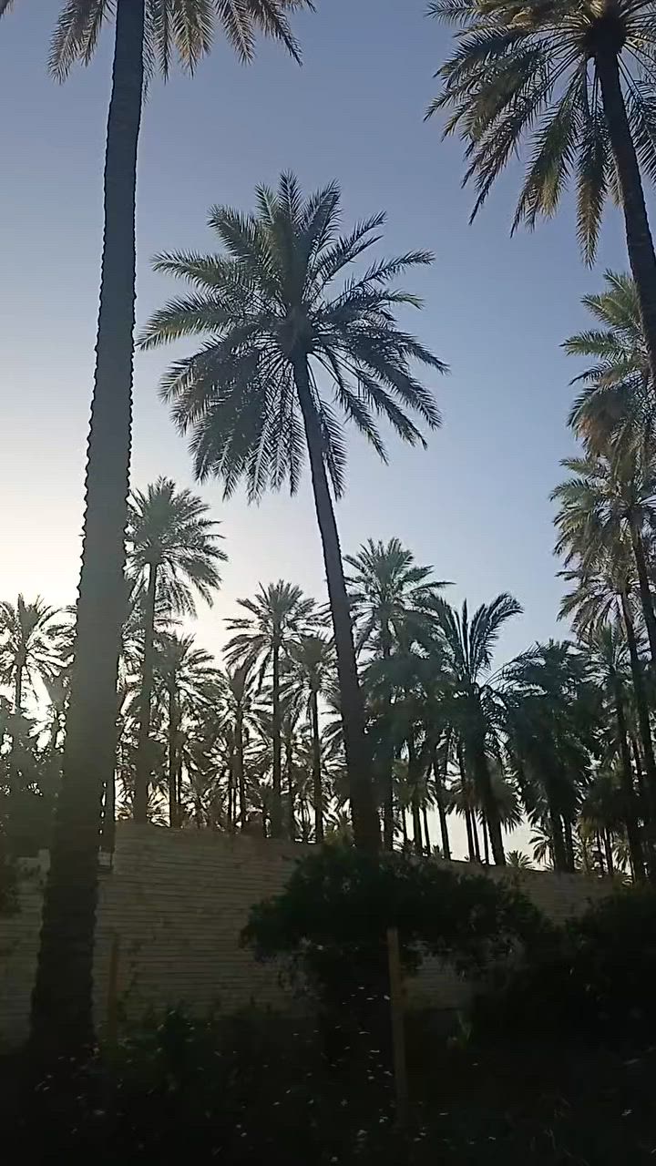 السلام عليكم متابعين صفحتنا الأعزاء 
#للبيع قطعة أرض ٥٠٠ متر طابو صرف 
العنوان/ الصويرة سدة بيت حسوني 
للإستفسار الاتصال على الرقم ***********
موجود واتساب
