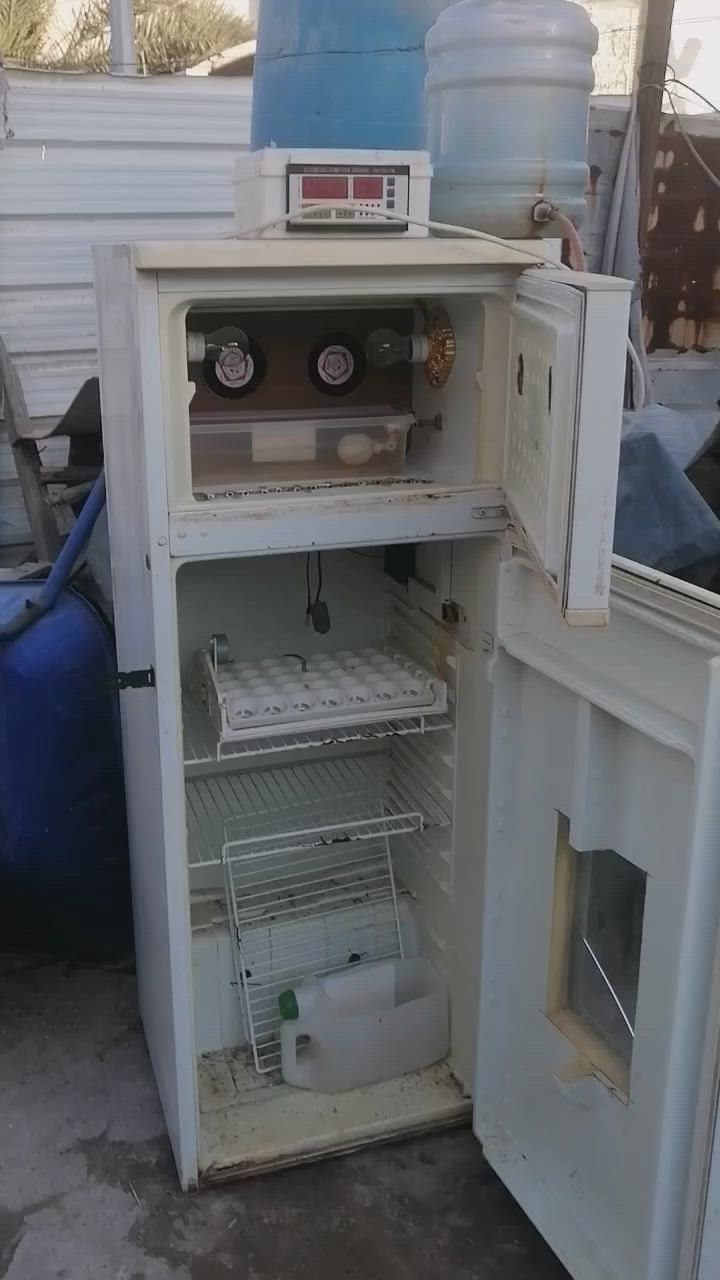 فقاسات للبيع الوحده ب 150 الف وبيهن مجال تفقيس

فول ونظيفات مكاني الفاو الجنوبيه


**إذا كنت صاحب هذا الإعلان وتريد حذفه لأي سبب، رجاءا أرسل رسالة إلى الدعم الفني**