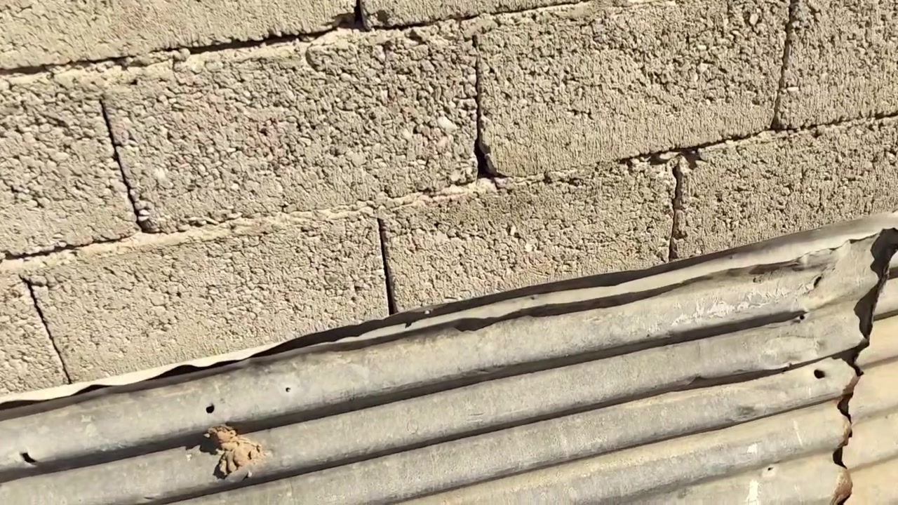 جينكوات للبيع قيم اخذ بلي يرضي الله مكاني بهرز ***********
