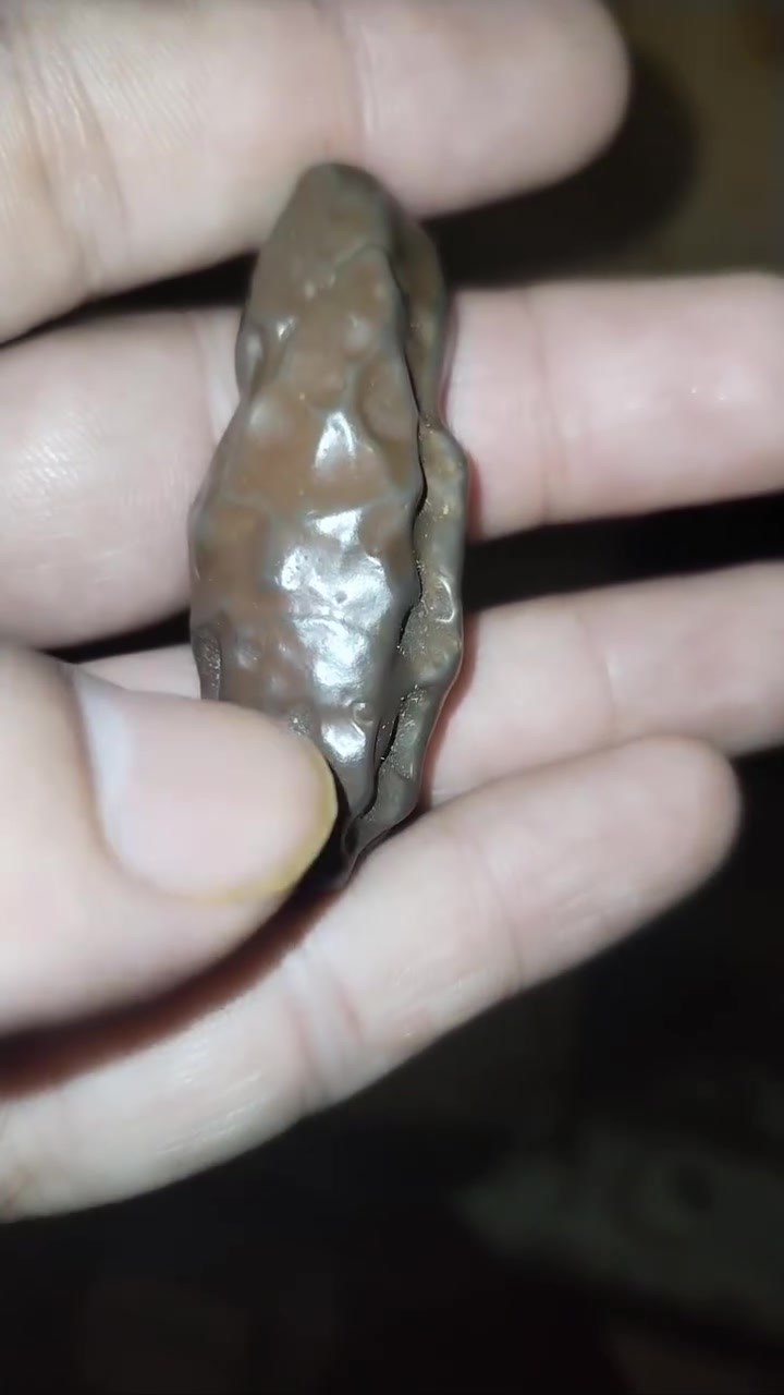 للبيع او مراوس عرق سلطاني مصور وجه كامل نوادر ***********

