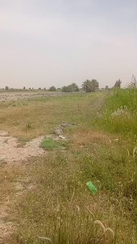 🌴 للبيع أرض مميزة 🌴
إخوان، للبيع 5 دوانم ونص بسمي، سند 25 طابو الفلوجة، منطقة شيخ عامر – سبع البور.

✅ الأرض بيها نخل حمّال وأنواع مختلفة .
✅ ماء سقي وماء إسالة الكرخ متوفر.
✅ كهرباء موجودة.
✅ ثاني قطعة من الشارع.
✅ قريبة على جامع الإمام الحسن.
✅ تبعد عن الكاظمية تقريباً ربع ساعة.

الأرض مخدومة وجاهزة للزراعة، وتصلح همين للاستثمار وسوي بيها مزرعة أو شاليهات، خصوصاً والمنطقة كلها مزارع وشاليهات.

🔹 البيع من دونم فما فوق.
🔹 الأرض ملك سند ٢٥ طابو الفلوجة وباسمي مباشرة.

للاستفسار والمعاينة الاتصال على الرقم:
📞 [رقم الهاتف]***********
***********
