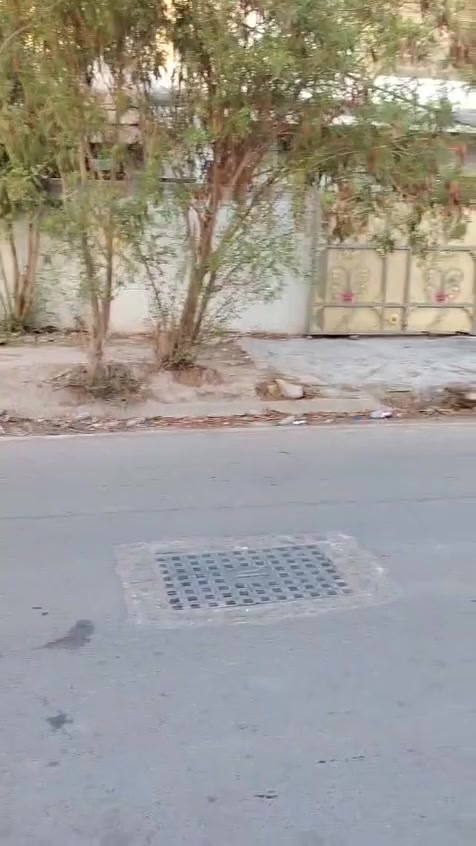 بيت للايجار حي اسيا ‏‪علا الشارع الرئيسي ‏‪***********‬‏ رقم صاحب الدار بدون دلاليه
