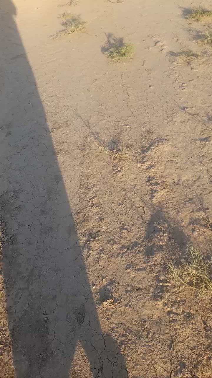 السلام عليكم ارض زراعيه للبيع مساحة ١٢ دونم عقد زراعي ١١٧ وجه عل شارع مباشر ارض تصلح سكن ومشاريع وزراعة مكان الأرض بغداد النهروان ٩نيسان قرية ابا ذر الغفاري وكلشي واضح بل فيديو *********** ***********

