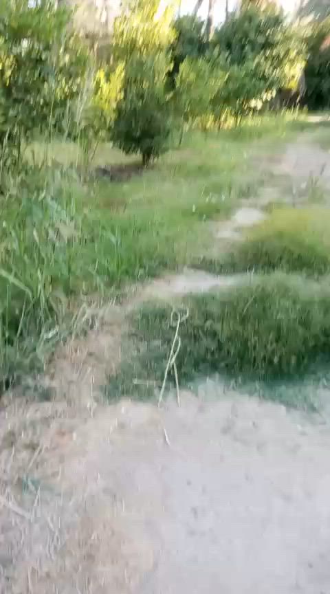 خوان نص دونم للبيع في منطقت الراشدية سند خمسه وعشرين الوجهة عشرين ونزال ستين يحتوي على حمضيات ونخل ماء كهرباء موقع قرب ناحيه الراشدية سعر مناسب ستفسار على رقم ***********
