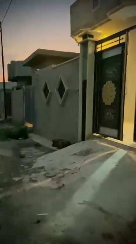 الدار اللبيع القوسيات حي الزيتون مدخل أسواق ابو علي المسا حة ١٤٥ *********** # ***********
