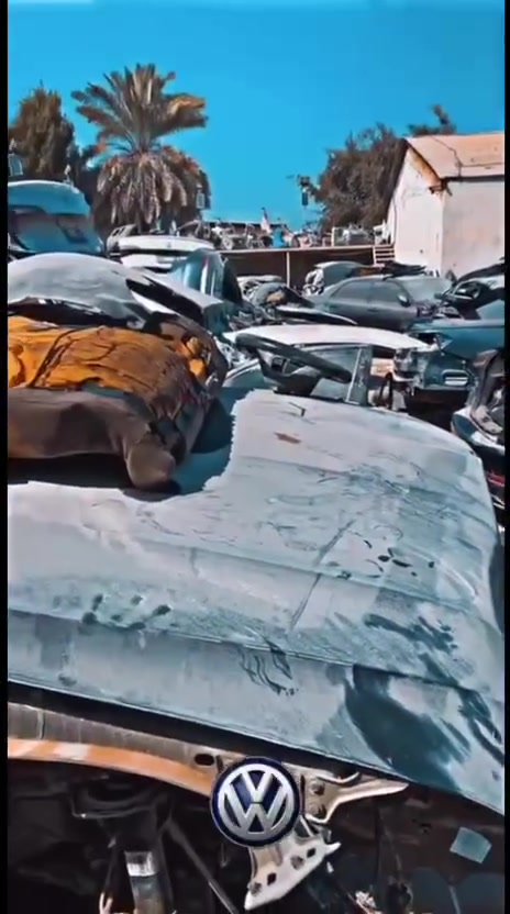 محل VW.shoop
للبیع قطع الغیار سیارات.    
 فولکسواکن 
للاستفسار و المعلومات اتصل الرقم
محل VW.shoop 

اربیل / صناعة الشمالیة
***********
 
بۆ فرۆشتنی پارچەی یەدەکی سەیارەکانی فولکسواگن 
بۆ زانیاری زیاتر تەلەفۆن بکەن بۆ ژمارە

***********
