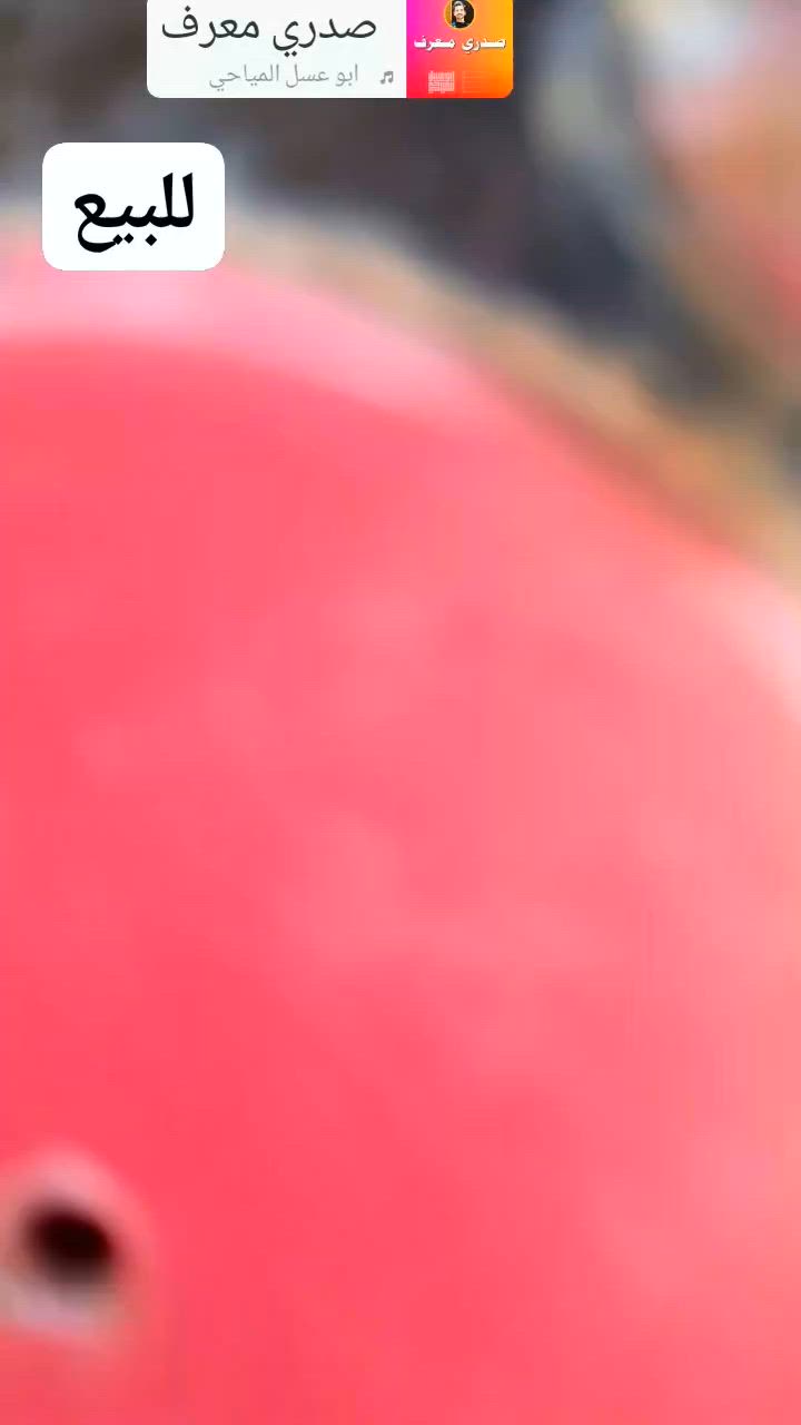 للبيع ستوته امتيار مكان نجف عباسيه اللي يريدها يخابرني بخير الدلل كلك ***********
