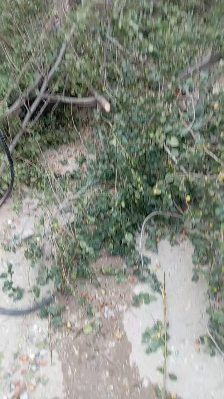 ***********

