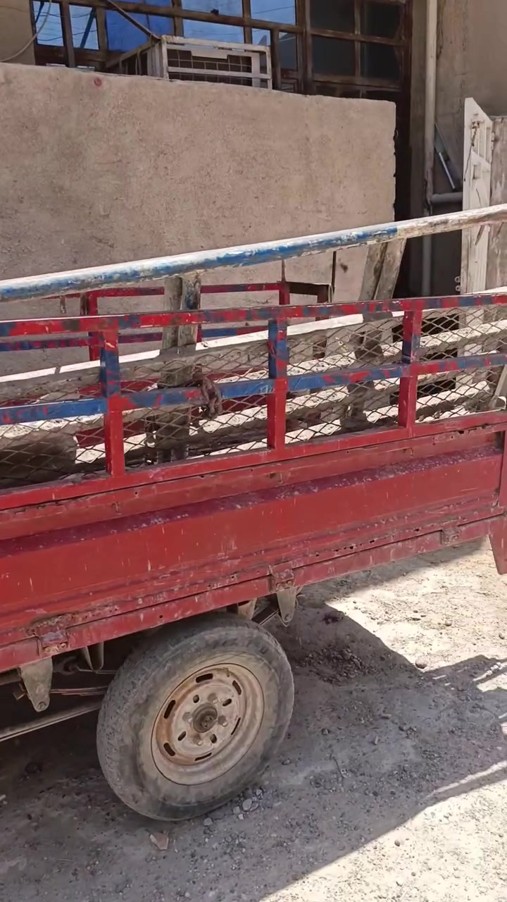 ستوته امتي ار اوراق موجوده وكاتبك عليه كلع معمره جديد  كله شغاله مكاني الامين الثانيه سعره 500)  *********** يوجد وتساب
