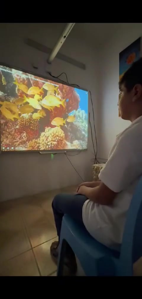 * 🌊 يساعد على الاسترخاء وتهدئة التوتر عند بعض الأطفال.
* 👀 ينمّي الانتباه البصري من خلال متابعة حركة الأسماك.
* 🧠 يزيد مدة التركيز تدريجيًا.
* 🐠 يطوّر المفردات واللغة: (سمكة، حوت، بحر، كبير، صغير، يسبح…).
* 🗣️ يشجع على التواصل بطرح أسئلة مثل: “وين السمكة؟ شنو لونها؟ شكد عددها؟”.
* 🎯 يحسّن تتبع العين عند متابعة حركة الكائنات البحرية.
* 💙 قد يقلل القلق عند بعض الأطفال بسبب الألوان الهادئة وحركة الماء البطيئة لتواصل ***********
