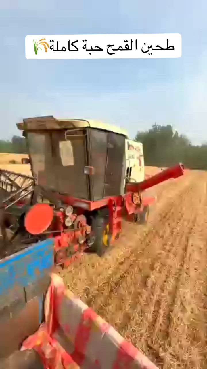 🌾🌾


**إذا كنت صاحب هذا الإعلان وتريد حذفه لأي سبب، رجاءا أرسل رسالة إلى الدعم الفني**