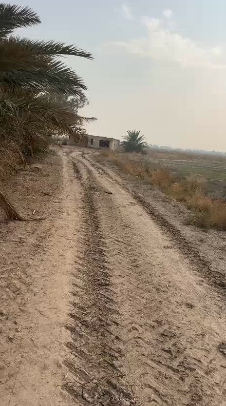 توجد 24 دونم للبيع طابو ملك صرف كل ٥ بسند مستقل على طابو ابي غريب ارض حلوه ومخدومه بالكامل على شارع رئيسي مباشر فتح بيان ثاني يوم سعر الدونم من ٨٥ لحد ١٢٠ حسب موقعها  مقسمه دوانم مربعه عنوان بغداد الشعله قرب جسر ماجد البصام المسافه عن ساحه القاء المنصور ٢٠ 
توجد 5 دوانم للبيع طابو على طابو الكاظمية الثانيه سند مستقل فتح بيان بأسم المشتري ثاني يوم ارض كلش حلوه ومخدومه بالكامل ماء اساله ماء سقي كهرباء منطقه مسكونه مخدومه من كلشي بيها سكن ومزارع منطقه امن وامان تبعد عن ساحة القاء المنصور20 دقيقه عنوان بغداد التاجي سبع البور من جهت ابوعظام سعر الدونم ٦٥
موجوده ٥٠ دونم طابو ملك صرف للبيع في بغداد التاجي قرب سبع البور سعر الدونم ٥٠ على طابو ابي غريب ارض جدا حلوه ومخدومه بالكامل بيها ماء وكهرباء صايره ركن على شارعين


**إذا كنت صاحب هذا الإعلان وتريد حذفه لأي سبب، رجاءا أرسل رسالة إلى الدعم الفني**