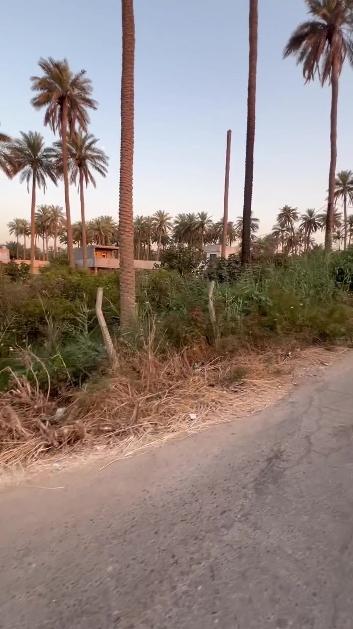 السلام عليكم بستان للبيع بمنطقة الراشديه بالنزله
مال البطرودي صايرة ركن ومتوفره بيها مي وكهرباء وع الشارع والنزله مالتها هم تبليط يبعد عن ناحية الراشدية 5دقائق

المساحه 

العرض 25م

الطول 45م

المساحة الكلية 1,125م 

للاستفسار الاتصال ع الرقم التالي ويوجد به واتساب 

***********
