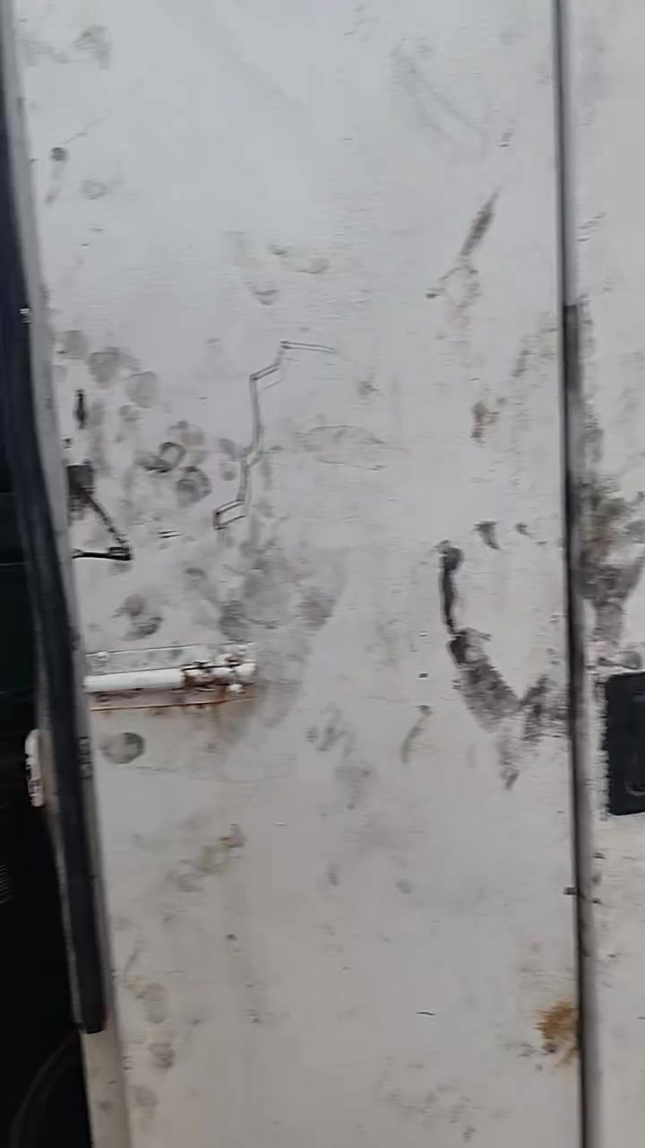 سلام عليكم اخوان مولده لبيع فولفو اف اج ١٢راس توليد ستندر ٥٠٠كيفي مكانه جرف النداف بيه بس بخار شغاله سعره ٧٠ورقه وبيه مجال واليحب يتصل عرقم ***********
