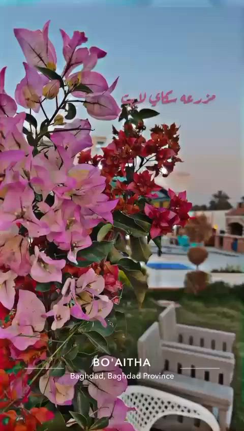 🌿 مزرعة سكاي لايت 🌿
متوفر الحجز طوال أيام الأسبوع 🌟
نستقبل العوائل والشباب 👨‍👩‍👧‍👦👥
مناسبة لجميع المناسبات والاحتفالات 🎉

✅ مكان نظيف ومرتب
✅ أجواء هادئة ومريحة
✅ خصوصية تامة
✅ أسعار مناسبة

للحجز والاستفسار راسلنا على الخاص أو اتصل بنا. 📞
***********
مزرعة سكاي لايت… راحتكم وونستكم بمكان واحد. 🌴✨
