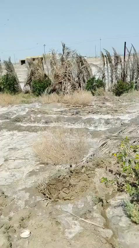 مزرعه نص دونم للبيع زراعي حي جوادين نزله ثانيه 
مجهزه ماء وكهرباء شارع سبيس 
سعر ٢٧ وبيها مجال 
عنوان الناصرية داخل المركز حي جوادين 
***********
