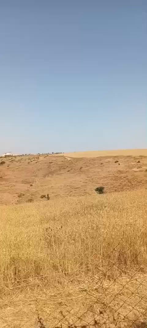 فيرما صغيرة للبيع مساحة 1000 متر ملكية شهدة ايداريا فيها بير منزل شجر على طريق 🏠💧🌲🌳🌲🌳🌲🌳🌲🌳🌲🌲🌲🌳🌲🫒🌲🌳🍋🌲🍑🌳🌲🍊🌳🌲🌳🍐🌳🌲🌳🍏🍎🌲🌳🌲🌳كات واجد جماعة ايت بلقاسم إقليم تيفلت الخميسات الثمن 39 قابل للتفاوض


**إذا كنت صاحب هذا الإعلان وتريد حذفه لأي سبب، رجاءا أرسل رسالة إلى الدعم الفني**