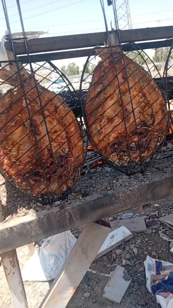 سمك حي تازه يوصلكم ٥٥٠٠ 
سمك حي ودجاج حي مسكوف حار 
دجاج حي محلي ٣٥٠٠ ومتوفر مقطع 
توصيل سريع 
لحجز مراسه الصفحة أو الرقم 
***********

العنوان بسمايه الشارع العام
