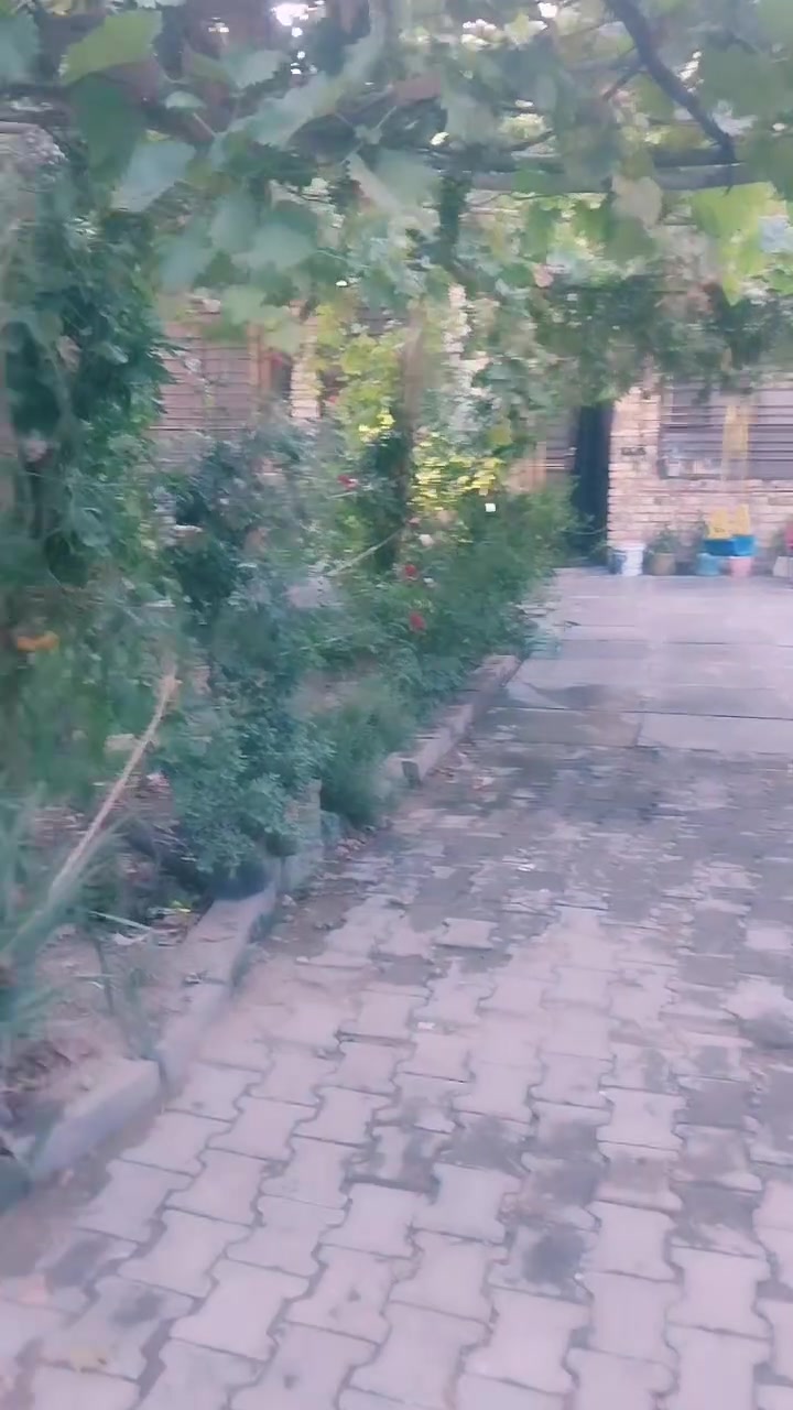سلام عليكم
قطعه 330 متر +بيت 130 من ضمن القطعه 
البيت بيه نقوصات سند 25 كربلاء شارع السيده زينب في الگنطره البيضاء منطقة ابو طحين تبعد عن الشارع العام كيلو وعن الحرمين الشريفين 9 كيلو للستفسار ***********واتساب
