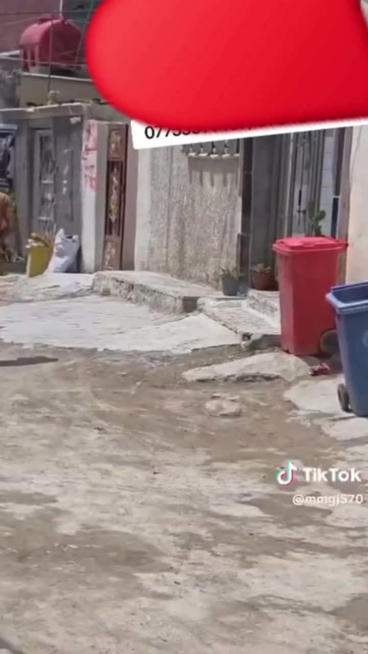 بيت بناء جديد وعالي عله شارع وقريب عله شارع العام قرب ابو الكنافه سعر 30وبي مجال الاتصال عله رقم ***********
