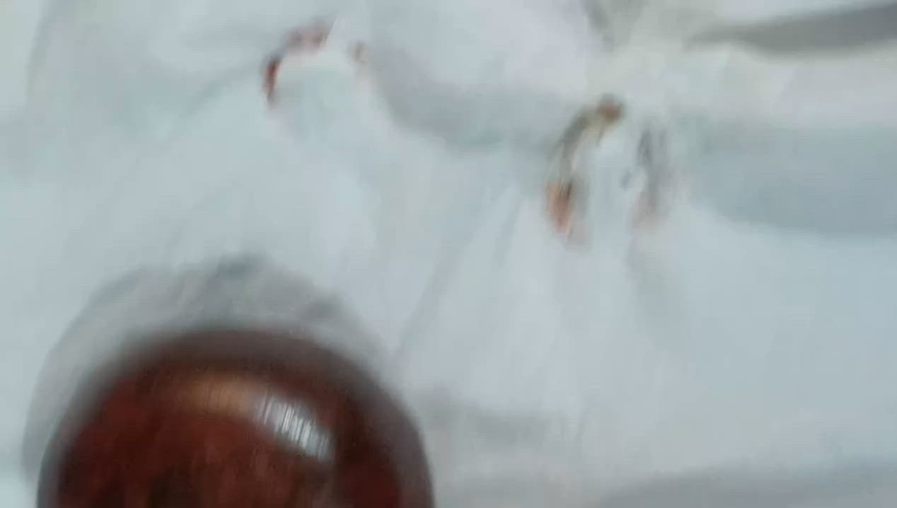 هبهاب للبيع ٥٠ الف مجرب للدوائر وقبول


**إذا كنت صاحب هذا الإعلان وتريد حذفه لأي سبب، رجاءا أرسل رسالة إلى الدعم الفني**