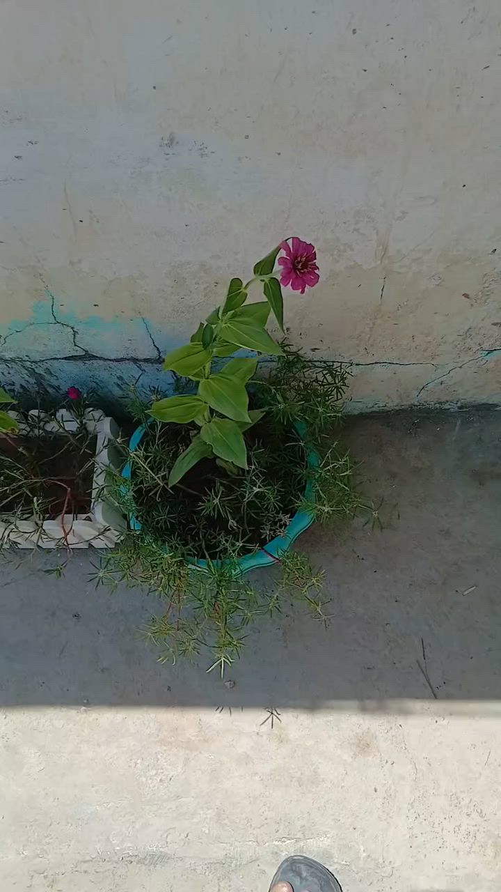 يوجد خدمة توصيل داخل كوت وجميع لمحافضات لعراق لحجز وسفسار مراسل خاص


**إذا كنت صاحب هذا الإعلان وتريد حذفه لأي سبب، رجاءا أرسل رسالة إلى الدعم الفني**