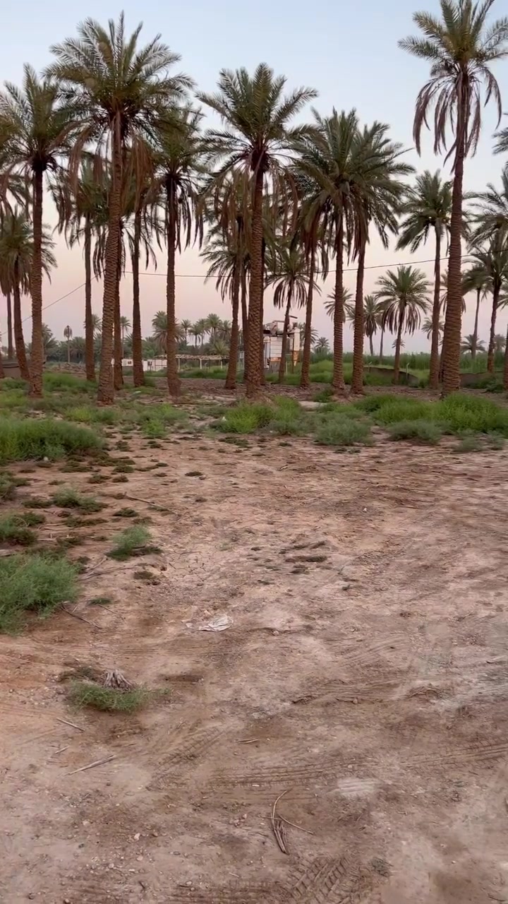 ✅ يوجد نص دونم للبيع طابو زراعي ٢٥

✅الواجهة ٦٠ متر والنزال ١٨ كافه الخدمات ماء كهرباء 

✅ الموقع طريق كربلاء نجف عمود ١١٤١ منطقة الجذار وكذلك مدخل ثاني طويريج الدوهيه 

السعر ٥٠ مليون وبيه مجال للشراي للاستفسار ***********
