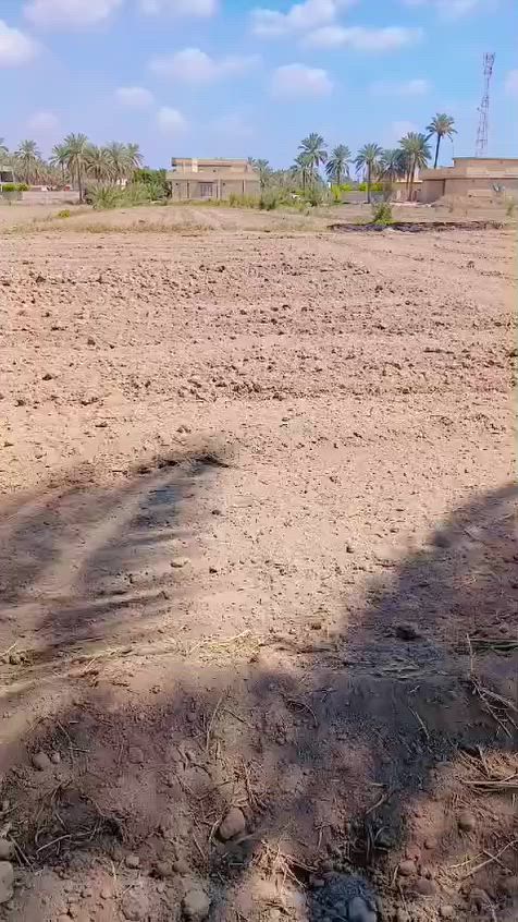 بسم الله الرحمن الرحيم 
تتوفر  وقطع  #سكنيه مختلفه #للبيع #زراعي تحويل بسم المشتري 
التعامل مع صاحب الارض مباشر
 تصلح مزارع او سكن  بأسعار مناسبه الموقع في #محافظة #بابل #الحله #سند25 #تحويل بأسم المشتري مباشر 
#توجد #قطع #مساحه #مختلفه @#للبيع #في #بابل 
@#يوجددوانم_للبيع
@#يوجدنص_دونم 
@#يوجدمساحه1000_متر 
@#يوجدمساحه750_متر
@#يوجدالمساحه500_متر
@#يوجد_المساحه250_متر 
#ويوجد #دوانم #تصلح #مزارع  و #سكن #طريق حله نجف نزله الامام بكر  ابن علي عليه السلام اوتنزل الى مقام نبي الله ابراهيم الخليل خلف المقام  خلف المقام بواحد كيلو #السعر  اوباقي التفاصيل على  الخاص  اوالاتصال 
  ***********  اتصال 
***********  واتساب
#الجميع_عام_ارض_زراعي_للبيع
#الجميع_عام_اراضي_زراعي_للبيع_حله_بابل_دوانم_للبيع_الج #مزارع #دوانم#بابل_حله #زراعي#@الجميع@المتابعين@الاصدقاء
@إشارة
