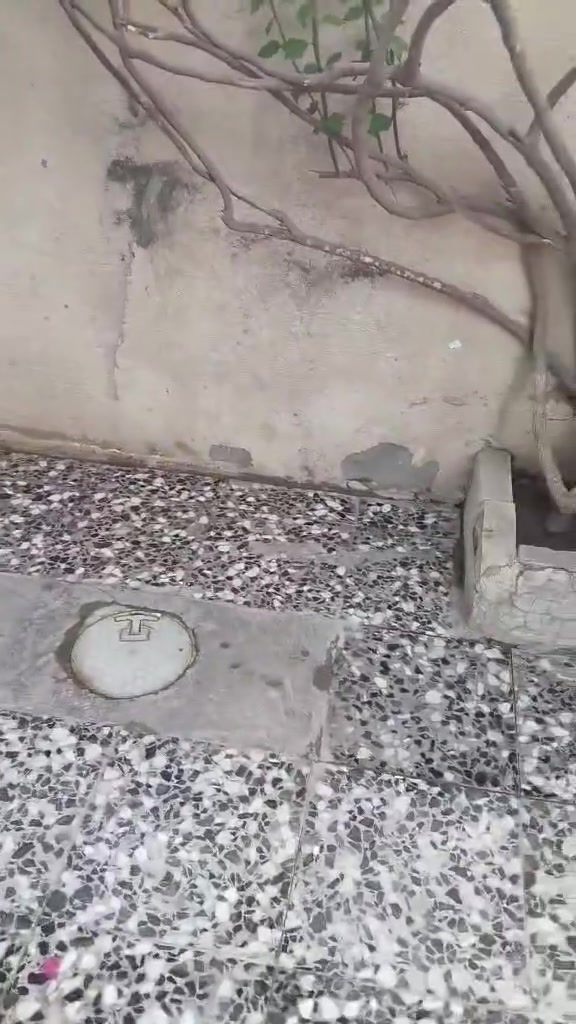 السلام عليكم بيت تجاوز للبيع البياع قرب جامع علي السجاد قرب مدرسة العلم كلشي موضح بالفديو البيت نضيف ومرتب سعر البيت 15 مليون للأستفسار ***********
