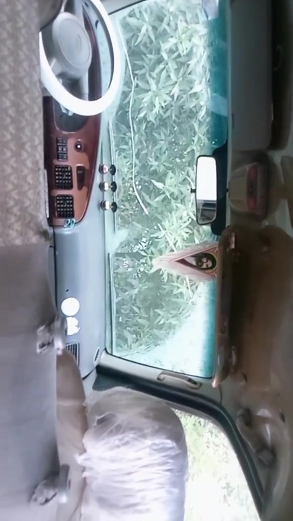 سلام عليكم بريجو 96 محرك 2701
كشرها نضيف محرك كير اكسن اتكفلك بيها عمر زوج تايرات خلفي قرفتها نضيفه رقم نجف انكليزي ب اسم ابوي تحويل ثاني يوم سياره امانت الله مال شغل عمر محركه اخرس انتصل وتدلل رقم ***********
