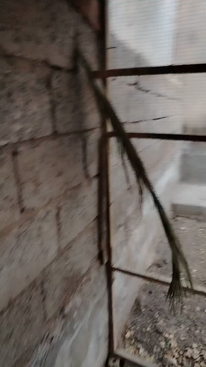 بسبب الوعود الكاذبه والناس التدخل والتجذب قفص للبيع


**إذا كنت صاحب هذا الإعلان وتريد حذفه لأي سبب، رجاءا أرسل رسالة إلى الدعم الفني**