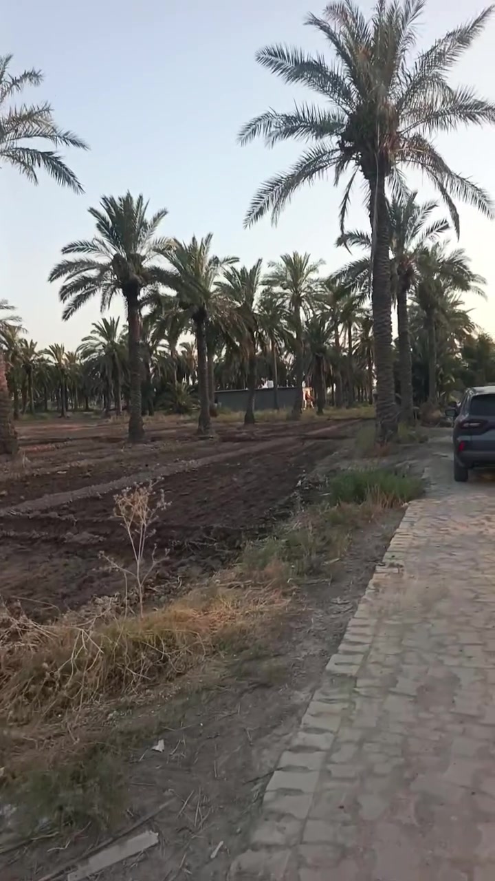 اختيارك ويناسبك ***********
***********
