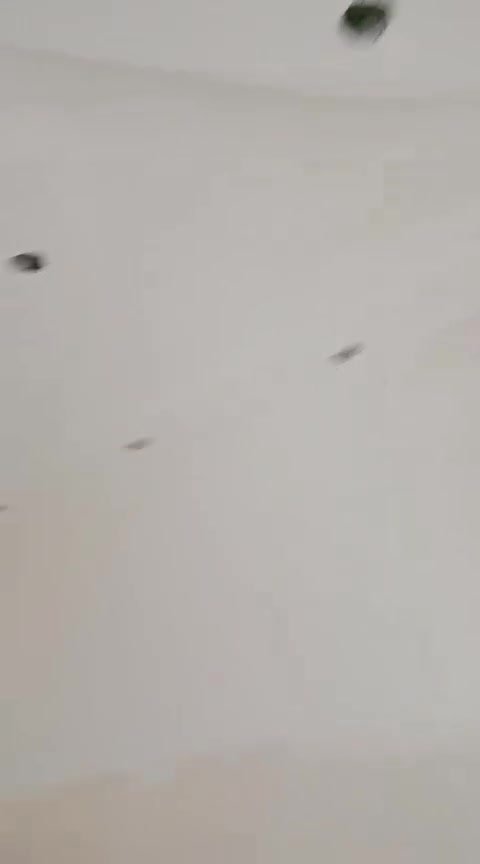 سلام عليكم ورحمه الله وبركاته 
كادر متفرغ حالين سمنت جص بورك واجهات شرط الشغل ول التزام مصاطر من الله التوفيق وافق ادمن ***********

