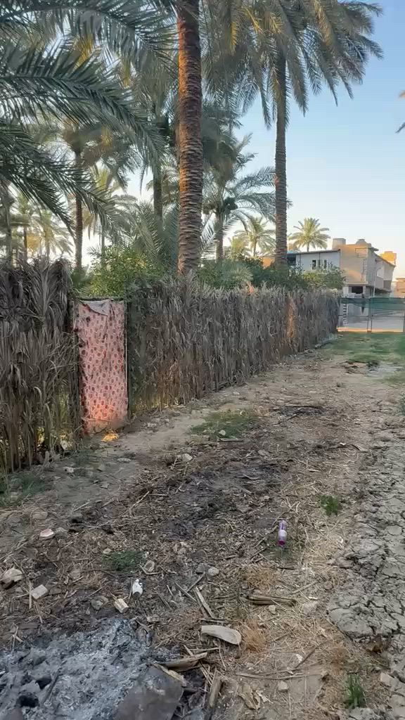 بستان في منطقت الراشديه  محمل بل ثمار والاشجار بستان حمال ريهم مزرعه شاليه كلش حلو بصفه الشارع السده مال دجله وخمس دقايق من سريع بغداد موقع كلش مميز وحلو وسعره همين ***********
