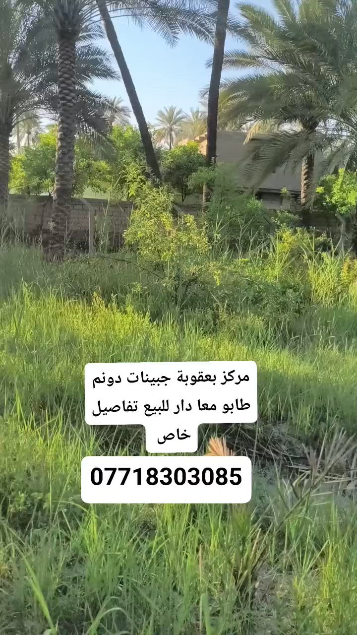 حياكم الله جميعا دونم طابو صرف مركز بعقوبة 
***********
