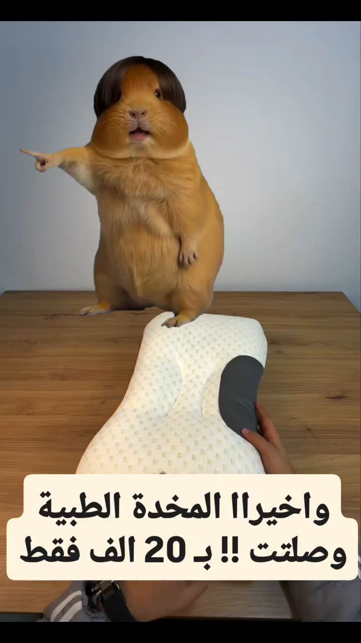متابعة حبايب 🤗💖


**إذا كنت صاحب هذا الإعلان وتريد حذفه لأي سبب، رجاءا أرسل رسالة إلى الدعم الفني**
