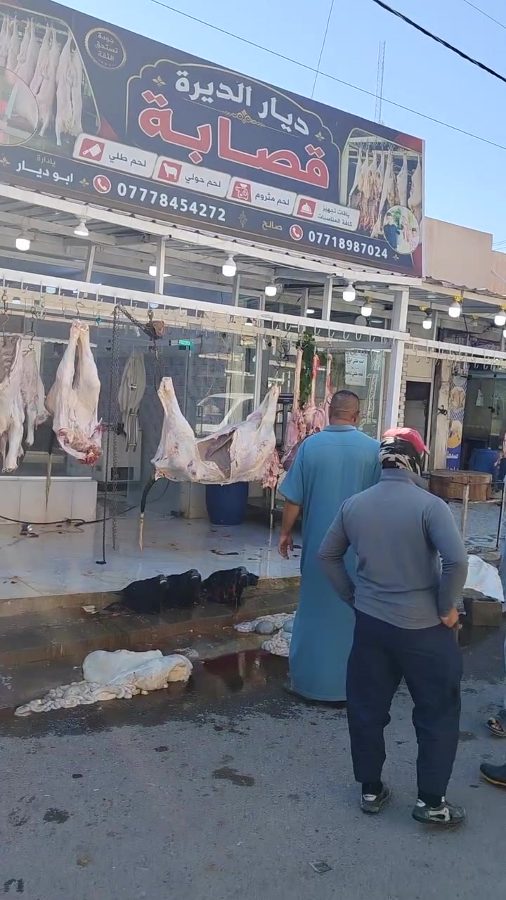 السلام عليكم لحك ع زين لحم الحولي العراقي الخالص ب 10  فقط تكريت سوق الباشا شرط مال الديرة عرض فقط يوم الخميس تريد اذبحلك كدامك ما عندي مشكلة ***********
