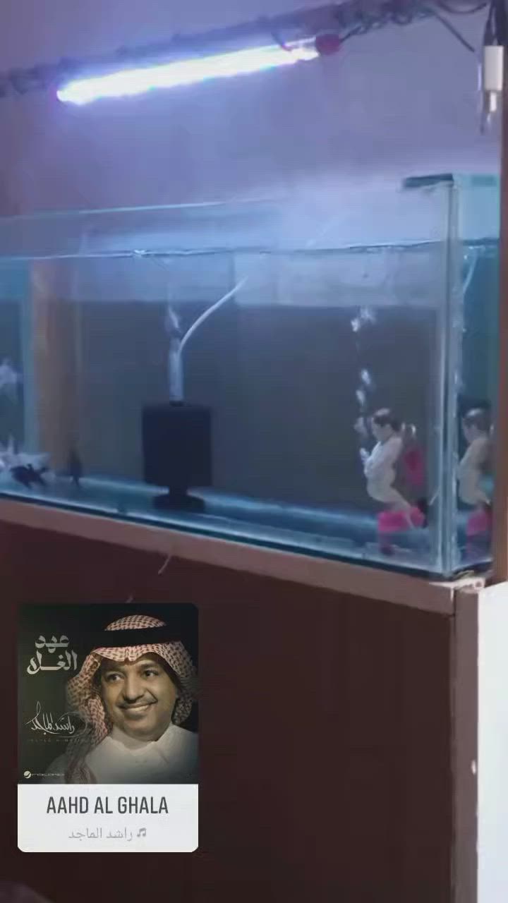 سلام عليكم ورحمه 
متاح حوض اسماك +6 اسماك 
3لون ابيض 3 اسود بمختلف الاحجام 
الاسماك بصحه جيده جدا 
الحوض بحاله ممتازه حطاطه مو سوكي جام 10 ملم
بيع او (مراوس بتلفون) زين 
ونسأل الله التوفيق


**إذا كنت صاحب هذا الإعلان وتريد حذفه لأي سبب، رجاءا أرسل رسالة إلى الدعم الفني**