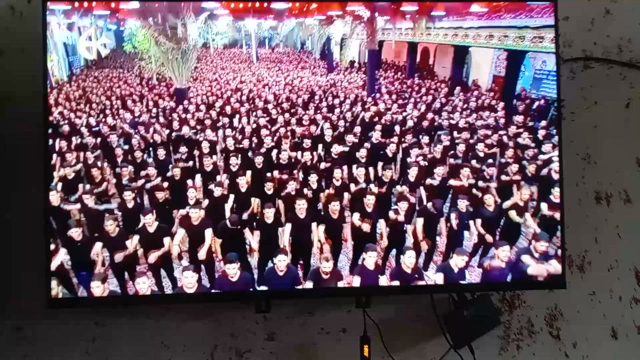 السلام عليكم ولازمه للبيع الزعفرانيه السعر 180 الاسم  SHARK


**إذا كنت صاحب هذا الإعلان وتريد حذفه لأي سبب، رجاءا أرسل رسالة إلى الدعم الفني**