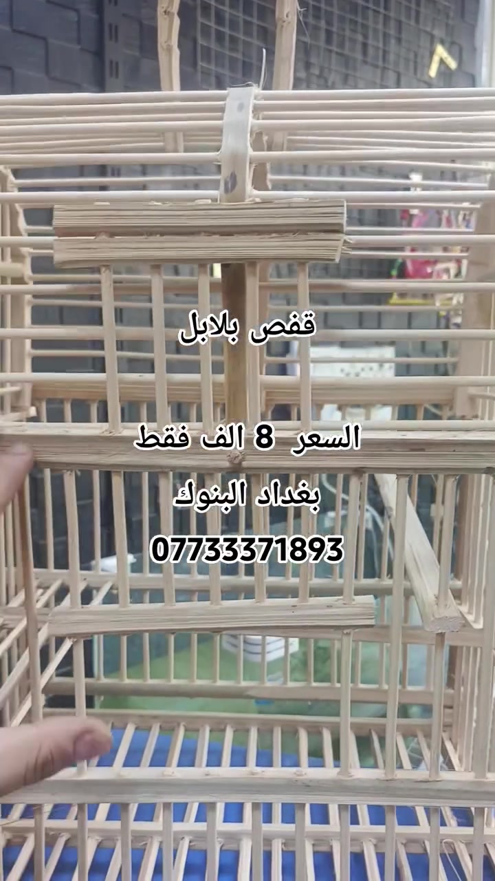 قفص بلابل
السعر السابق 15  الف
السعر الحالي 8 الف فقط
بغداد البنوك
***********

